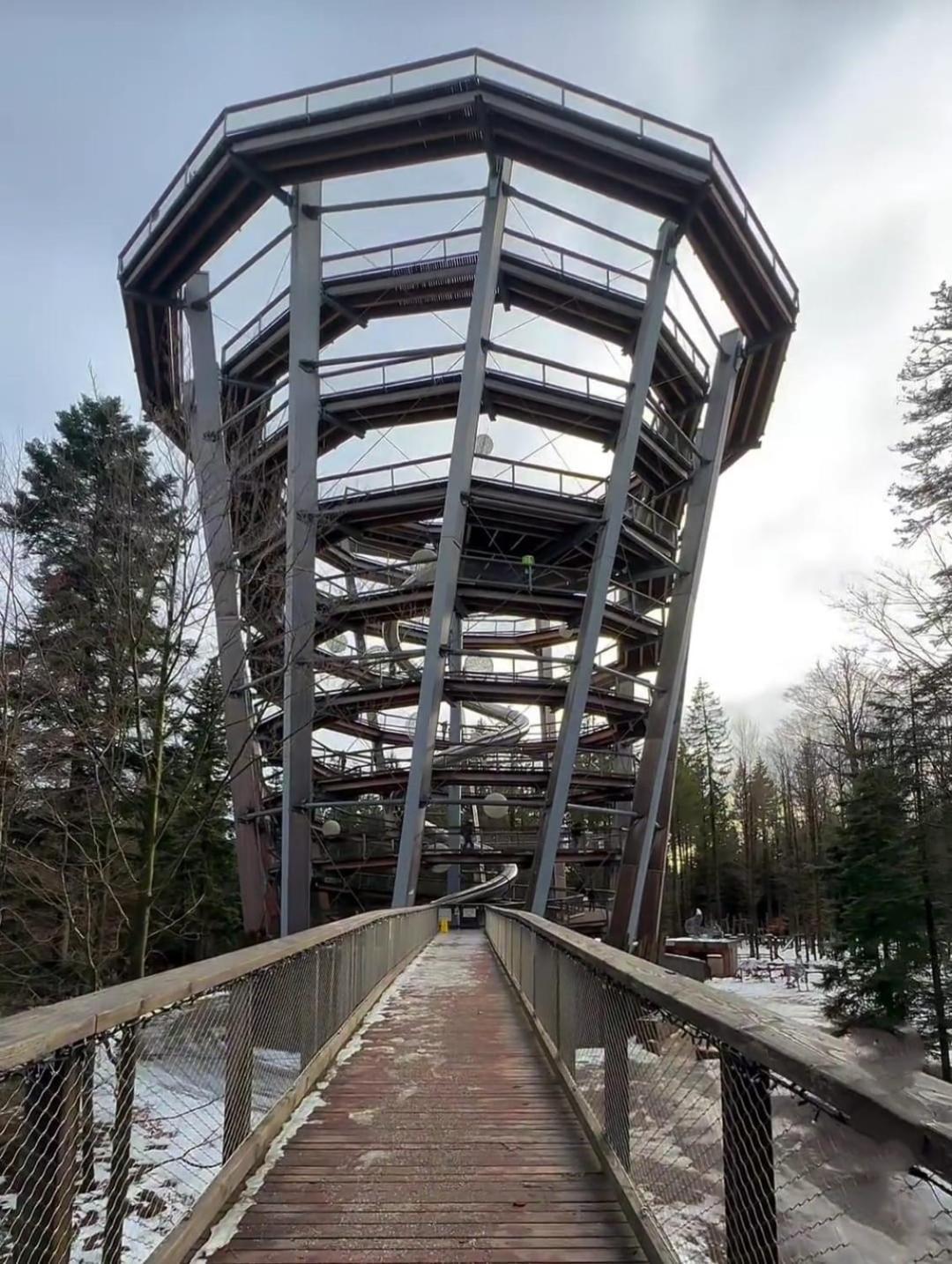 Waldhaus Max Apartment Bad Wildbad Exterior foto